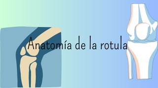 Rotula Mutata Anatomía de la rotula_20231123_224421_0000.pdf