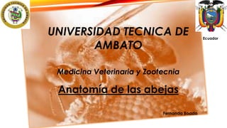 UNIVERSIDAD TECNICA DE
AMBATO
Medicina Veterinaria y Zootecnia

Anatomía de las abejas
Fernanda Boada

Ecuador

 