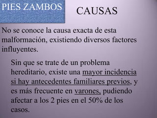 PIES ZAMBOS            CAUSAS
No se conoce la causa exacta de esta
malformación, existiendo diversos factores
influyentes.
  Sin que se trate de un problema
  hereditario, existe una mayor incidencia
  si hay antecedentes familiares previos, y
  es más frecuente en varones, pudiendo
  afectar a los 2 pies en el 50% de los
  casos.
 