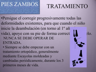 PIES ZAMBOS                  TRATAMIENTO
•Persigue el corregir progresivamente todas las
deformidades existentes, para que cuando el niño
inicie la deambulación (en torno al 1º año de
vida), apoye con su pie de forma correcta en el suelo.
  NUNCA SE DEBE OPERAR DE
 ENTRADA.
 • Siempre se debe empezar con un
 tratamiento ortopédico, generalmente
 mediante Escayolas moldeadas y
 cambiadas periódicamente, durante los 3
 primeros meses de vida.
 