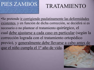 PIES ZAMBOS                    TRATAMIENTO

•Se pretende ir corrigiendo paulatinamente las deformidades
existentes, y en función de dicha corrección, se decidirá si es
necesario o no plantear el tratamiento quirúrgico, el
cual debe ajustarse a cada caso en particular (según la
corrección lograda con el tratamiento ortopédico
previo), y generalmente debe llevarse a cabo antes de
que el niño cumpla el 1º año de vida.
 