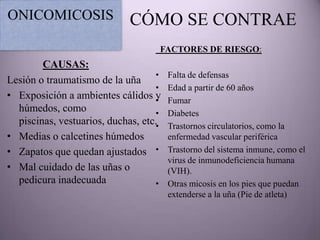 ONICOMICOSIS                 CÓMO SE CONTRAE
                                    FACTORES DE RIESGO:
        CAUSAS:
                                    •   Falta de defensas
Lesión o traumatismo de la uña
                                    •   Edad a partir de 60 años
• Exposición a ambientes cálidos y  •   Fumar
  húmedos, como                     •   Diabetes
  piscinas, vestuarios, duchas, etc.•   Trastornos circulatorios, como la
• Medias o calcetines húmedos           enfermedad vascular periférica
• Zapatos que quedan ajustados •        Trastorno del sistema inmune, como el
                                        virus de inmunodeficiencia humana
• Mal cuidado de las uñas o             (VIH).
  pedicura inadecuada               •   Otras micosis en los pies que puedan
                                        extenderse a la uña (Pie de atleta)
 