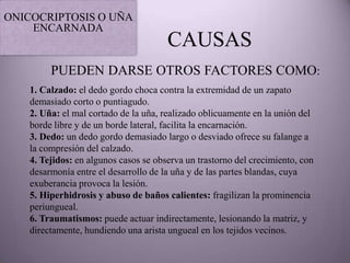 ONICOCRIPTOSIS O UÑA
    ENCARNADA
                                      CAUSAS
        PUEDEN DARSE OTROS FACTORES COMO:
   1. Calzado: el dedo gordo choca contra la extremidad de un zapato
   demasiado corto o puntiagudo.
   2. Uña: el mal cortado de la uña, realizado oblicuamente en la unión del
   borde libre y de un borde lateral, facilita la encarnación.
   3. Dedo: un dedo gordo demasiado largo o desviado ofrece su falange a
   la compresión del calzado.
   4. Tejidos: en algunos casos se observa un trastorno del crecimiento, con
   desarmonía entre el desarrollo de la uña y de las partes blandas, cuya
   exuberancia provoca la lesión.
   5. Hiperhidrosis y abuso de baños calientes: fragilizan la prominencia
   periungueal.
   6. Traumatismos: puede actuar indirectamente, lesionando la matriz, y
   directamente, hundiendo una arista ungueal en los tejidos vecinos.
 