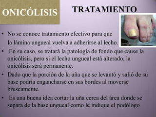 ONICÓLISIS                  TRATAMIENTO

• No se conoce tratamiento efectivo para que
  la lámina ungueal vuelva a adherirse al lecho.
• En su caso, se tratará la patología de fondo que cause la
  onicólisis, pero si el lecho ungueal está alterado, la
  onicólisis será permanente.
• Dado que la porción de la uña que se levantó y salió de su
  base podría engancharse en sus bordes al moverse
  bruscamente.
• Es una buena idea cortar la uña cerca del área donde se
  separa de la base ungueal como le indique el podólogo
 