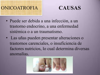 ONICOATROFIA                   CAUSAS

 • Puede ser debida a una infección, a un
   trastorno endocrino, a una enfermedad
   sistémica o a un traumatismo.
 • Las uñas pueden presentar alteraciones o
   trastornos carenciales, o insuficiencia de
   factores nutricios, lo cual determina diversas
   anomalías.
 