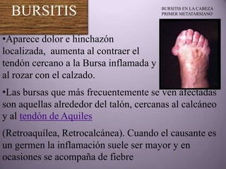 BURSITIS                              BURSITIS EN LA CABEZA
                                        PRIMER METATARSIANO




•Aparece dolor e hinchazón
localizada, aumenta al contraer el
tendón cercano a la Bursa inflamada y
al rozar con el calzado.
•Las bursas que más frecuentemente se ven afectadas
son aquellas alrededor del talón, cercanas al calcáneo
y al tendón de Aquiles
(Retroaquílea, Retrocalcánea). Cuando el causante es
un germen la inflamación suele ser mayor y en
ocasiones se acompaña de fiebre
 