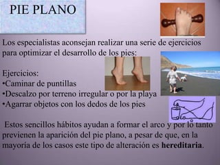 PIE PLANO

Los especialistas aconsejan realizar una serie de ejercicios
para optimizar el desarrollo de los pies:

Ejercicios:
•Caminar de puntillas
•Descalzo por terreno irregular o por la playa
•Agarrar objetos con los dedos de los pies

Estos sencillos hábitos ayudan a formar el arco y por lo tanto
previenen la aparición del pie plano, a pesar de que, en la
mayoría de los casos este tipo de alteración es hereditaria.
 