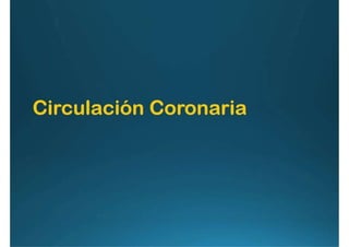 Anatomía del corazón