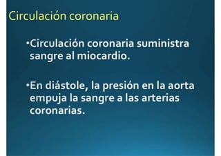 Anatomía del corazón
