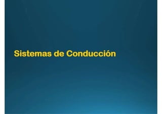 Anatomía del corazón