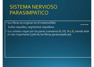 Anatomía del corazón