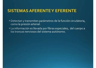 Anatomía del corazón