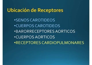 Anatomía del corazón