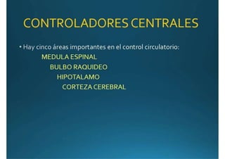 Anatomía del corazón