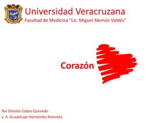 Universidad Veracruzana
            Facultad de Medicina “Lic. Miguel Alemán Valdés”




                                Corazón



Por Orestes Cobos Quevedo
y A. Guadalupe Hernández Retureta
 