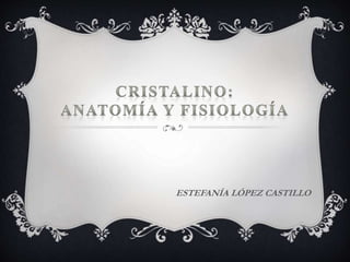 ESTEFANÍA LÓPEZ CASTILLO
 