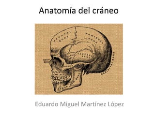 Anatomía del cráneo
Eduardo Miguel Martínez López
 