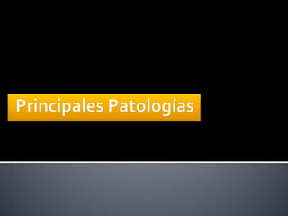 Anatomía del cuello