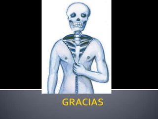 Anatomía del cuello