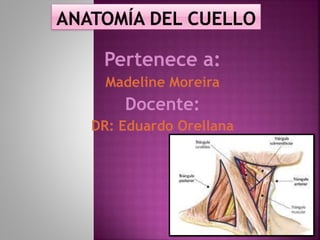 Pertenece a:
Madeline Moreira
Docente:
DR: Eduardo Orellana
 