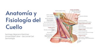 Anatomía y
Fisiología del
Cuello
Santiago Bejarano Martínez
Universidad Libre – Seccional Cali
Semiología
 