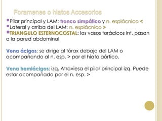 Pilar principal y LAM: tronco simpático y n. esplácnico <
Lateral y arriba del LAM: n. esplácnico >
TRIANGULO ESTERNOCOSTAL: los vasos torácicos int. pasan
a la pared abdominal
Vena ácigos: se dirige al tórax debajo del LAM o
acompañando al n. esp. > por el hiato aórtico.
Vena hemiácigos: izq. Atraviesa el pilar principal izq. Puede
estar acompañada por el n. esp. >
 