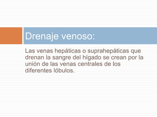 Drenaje venoso:
Las venas hepáticas o suprahepáticas que
drenan la sangre del hígado se crean por la
unión de las venas centrales de los
diferentes lóbulos.
 