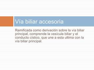 Vía biliar accesoria
Ramificada como derivación sobre la vía biliar
principal, comprende la vesícula biliar y el
conducto cístico, que une a esta ultima con la
vía biliar principal.
 