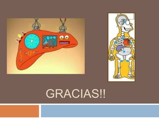 GRACIAS!!
 