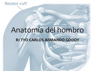 Anatomía del hombro
R1 TYO CARLOS ARMANDO GODOY
 