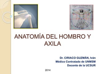 ANATOMÍA DEL HOMBRO Y
AXILA
Dr. CIRIACO GUZMÁN, Iván
Médico Contratado de UNMSM
Docente de la UCSUR
2014
 