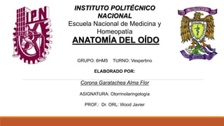 INSTITUTO POLITÉCNICO
NACIONAL
Escuela Nacional de Medicina y
Homeopatía
GRUPO: 6HM5 TURNO: Vespertino
ELABORADO POR:
Corona Garatachea Alma Flor
ASIGNATURA: Otorrinolaringología
PROF.: Dr. ORL: Wood Javier
ANATOMÍA DEL OÍDO
 