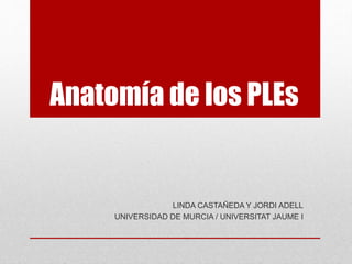 Anatomía de los PLEs
LINDA CASTAÑEDA Y JORDI ADELL
UNIVERSIDAD DE MURCIA / UNIVERSITAT JAUME I
 
