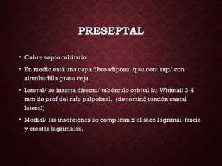PRESEPTALPRESEPTAL
• Cubre septo orbitarioCubre septo orbitario
• En medio está una capa fibroadiposa, q se cont sup/ conEn medio está una capa fibroadiposa, q se cont sup/ con
almohadilla grasa ceja.almohadilla grasa ceja.
• Lateral/ se inserta directa/ tubérculo orbital lat Whitnall 3-4Lateral/ se inserta directa/ tubérculo orbital lat Whitnall 3-4
mm de prof del rafe palpebral. (denominó tendón cantalmm de prof del rafe palpebral. (denominó tendón cantal
lateral)lateral)
• Medial/ las inserciones se complican x el saco lagrimal, fasciaMedial/ las inserciones se complican x el saco lagrimal, fascia
y crestas lagrimales.y crestas lagrimales.
 