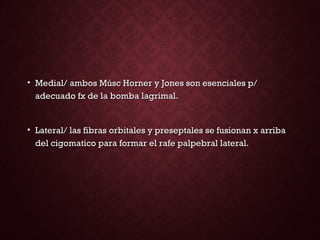 • Medial/ ambos Músc Horner y Jones son esenciales p/Medial/ ambos Músc Horner y Jones son esenciales p/
adecuado fx de la bomba lagrimal.adecuado fx de la bomba lagrimal.
• Lateral/ las fibras orbitales y preseptales se fusionan x arribaLateral/ las fibras orbitales y preseptales se fusionan x arriba
del cigomatico para formar el rafe palpebral lateral.del cigomatico para formar el rafe palpebral lateral.
 