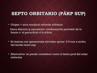 SEPTO ORBITARIO (PÁRP SUP)SEPTO ORBITARIO (PÁRP SUP)
• Origen = arco marginal reborde orbitarioOrigen = arco marginal reborde orbitario
Línea discreta q representa: condensación periostio de laLínea discreta q representa: condensación periostio de la
frente c/ el periorbital d la órbita.frente c/ el periorbital d la órbita.
• Se fusiona con aponeurosis elevador aprox/ 2-5 mm x arribaSe fusiona con aponeurosis elevador aprox/ 2-5 mm x arriba
del borde tarsal sup.del borde tarsal sup.
• Alternativa/ se puede considerar como la fasica prof del múscAlternativa/ se puede considerar como la fasica prof del músc
orbicularorbicular
 