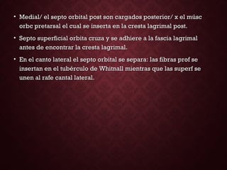 • Medial/ el septo orbital post son cargados posterior/ x el múscMedial/ el septo orbital post son cargados posterior/ x el músc
orbc pretarsal el cual se inserta en la cresta lagrimal post.orbc pretarsal el cual se inserta en la cresta lagrimal post.
• Septo superficial orbita cruza y se adhiere a la fascia lagrimalSepto superficial orbita cruza y se adhiere a la fascia lagrimal
antes de encontrar la cresta lagrimal.antes de encontrar la cresta lagrimal.
• En el canto lateral el septo orbital se separa: las fibras prof seEn el canto lateral el septo orbital se separa: las fibras prof se
insertan en el tubérculo de Whitnall mientras que las superf seinsertan en el tubérculo de Whitnall mientras que las superf se
unen al rafe cantal lateral.unen al rafe cantal lateral.
 