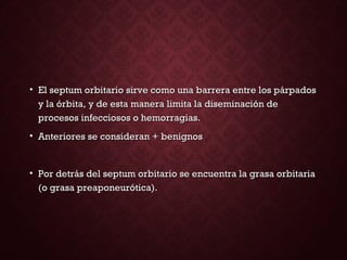 • El septum orbitario sirve como una barrera entre los párpadosEl septum orbitario sirve como una barrera entre los párpados
y la órbita, y de esta manera limita la diseminación dey la órbita, y de esta manera limita la diseminación de
procesos infecciosos o hemorragias.procesos infecciosos o hemorragias.
• Anteriores se consideran + benignosAnteriores se consideran + benignos
• Por detrás del septum orbitario se encuentra la grasa orbitariaPor detrás del septum orbitario se encuentra la grasa orbitaria
(o grasa preaponeurótica).(o grasa preaponeurótica).
 