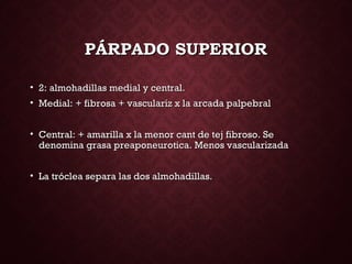 PÁRPADO SUPERIORPÁRPADO SUPERIOR
• 2: almohadillas medial y central.2: almohadillas medial y central.
• Medial: + fibrosa + vasculariz x la arcada palpebralMedial: + fibrosa + vasculariz x la arcada palpebral
• Central: + amarilla x la menor cant de tej fibroso. SeCentral: + amarilla x la menor cant de tej fibroso. Se
denomina grasa preaponeurotica. Menos vascularizadadenomina grasa preaponeurotica. Menos vascularizada
• La tróclea separa las dos almohadillas.La tróclea separa las dos almohadillas.
 