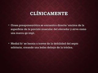 CLÍNICAMENTECLÍNICAMENTE
• Grasa preaponeurótica se encuentra directa/ encima de laGrasa preaponeurótica se encuentra directa/ encima de la
superficie de la porción muscular del elevador y sirve comosuperficie de la porción muscular del elevador y sirve como
una marca qx impt.una marca qx impt.
• Medial fr/ se hernia a traves de la debilidad del septoMedial fr/ se hernia a traves de la debilidad del septo
orbitario, creando una bolsa debajo de la tróclea.orbitario, creando una bolsa debajo de la tróclea.
 