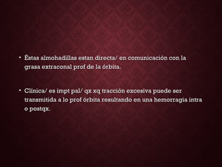 • Éstas almohadillas estan directa/ en comunicación con laÉstas almohadillas estan directa/ en comunicación con la
grasa extraconal prof de la órbita.grasa extraconal prof de la órbita.
• Clínica/ es impt pal/ qx xq tracción excesiva puede serClínica/ es impt pal/ qx xq tracción excesiva puede ser
transmitida a lo prof órbita resultando en una hemorragia intratransmitida a lo prof órbita resultando en una hemorragia intra
o postqx.o postqx.
 