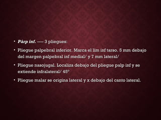 • Párp ínf.Párp ínf. ---- 3 pliegues:---- 3 pliegues:
• Pliegue palpebral inferior. Marca el lím inf tarso. 5 mm debajoPliegue palpebral inferior. Marca el lím inf tarso. 5 mm debajo
del margen palpebral inf medial/ y 7 mm lateral/del margen palpebral inf medial/ y 7 mm lateral/
• Pliegue nasojugal. Localiza debajo del pliegue palp inf y sePliegue nasojugal. Localiza debajo del pliegue palp inf y se
extiende infralateral/ 45°extiende infralateral/ 45°
• Pliegue malar se origina lateral y x debajo del canto lateral.Pliegue malar se origina lateral y x debajo del canto lateral.
 
