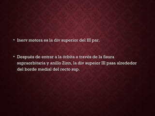 • Inerv motora es la div superior del III par.Inerv motora es la div superior del III par.
• Después de entrar a la órbita a través de la fisuraDespués de entrar a la órbita a través de la fisura
supraorbitaria y anillo Zinn, la div supeior III pasa alrededorsupraorbitaria y anillo Zinn, la div supeior III pasa alrededor
del borde medial del recto sup.del borde medial del recto sup.
 