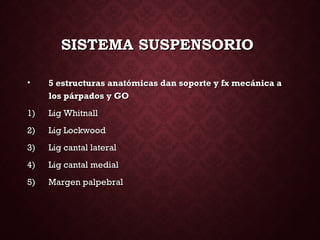 SISTEMA SUSPENSORIOSISTEMA SUSPENSORIO
• 5 estructuras anatómicas dan soporte y fx mecánica a5 estructuras anatómicas dan soporte y fx mecánica a
los párpados y GOlos párpados y GO
1)1) Lig WhitnallLig Whitnall
2)2) Lig LockwoodLig Lockwood
3)3) Lig cantal lateralLig cantal lateral
4)4) Lig cantal medialLig cantal medial
5)5) Margen palpebralMargen palpebral
 