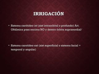 IRRIGACIÓNIRRIGACIÓN
• Sistema carótideo int (sist intraorbital o profundo) Art.Sistema carótideo int (sist intraorbital o profundo) Art.
Oftálmica pasa encima NO y dentro órbita supramedial/Oftálmica pasa encima NO y dentro órbita supramedial/
• Sistema carotídeo ext (sist superficial o sistema facial =Sistema carotídeo ext (sist superficial o sistema facial =
temporal y angular)temporal y angular)
 
