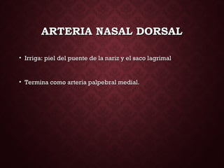 ARTERIA NASAL DORSALARTERIA NASAL DORSAL
• Irriga: piel del puente de la nariz y el saco lagrimalIrriga: piel del puente de la nariz y el saco lagrimal
• Termina como arteria palpebral medial.Termina como arteria palpebral medial.
 