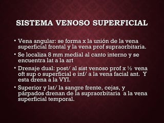 SISTEMA VENOSO SUPERFICIALSISTEMA VENOSO SUPERFICIAL
• Vena angular: se forma x la unión de la venaVena angular: se forma x la unión de la vena
superficial frontal y la vena prof supraorbitaria.superficial frontal y la vena prof supraorbitaria.
• Se localiza 8 mm medial al canto interno y seSe localiza 8 mm medial al canto interno y se
encuentra lat a la artencuentra lat a la art
• Drenaje dual: post/ al sist venoso prof x ½ venaDrenaje dual: post/ al sist venoso prof x ½ vena
oft sup o superficial e inf/ a la vena facial ant. Yoft sup o superficial e inf/ a la vena facial ant. Y
esta drena a la VYI.esta drena a la VYI.
• Superior y lat/ la sangre frente, cejas, ySuperior y lat/ la sangre frente, cejas, y
párpados drenan de la supraorbitaria a la venapárpados drenan de la supraorbitaria a la vena
superficial temporal.superficial temporal.
 
