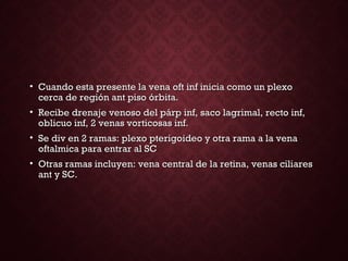 • Cuando esta presente la vena oft inf inicia como un plexoCuando esta presente la vena oft inf inicia como un plexo
cerca de región ant piso órbita.cerca de región ant piso órbita.
• Recibe drenaje venoso del párp inf, saco lagrimal, recto inf,Recibe drenaje venoso del párp inf, saco lagrimal, recto inf,
oblicuo inf, 2 venas vorticosas inf.oblicuo inf, 2 venas vorticosas inf.
• Se div en 2 ramas: plexo pterigoideo y otra rama a la venaSe div en 2 ramas: plexo pterigoideo y otra rama a la vena
oftalmica para entrar al SCoftalmica para entrar al SC
• Otras ramas incluyen: vena central de la retina, venas ciliaresOtras ramas incluyen: vena central de la retina, venas ciliares
ant y SC.ant y SC.
 