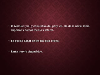 • R. Maxilar: piel y conjuntiva del párp inf, ala de la nariz, labioR. Maxilar: piel y conjuntiva del párp inf, ala de la nariz, labio
superior y cantos medio y lateral.superior y cantos medio y lateral.
• Se puede dañar en frx del piso órbita.Se puede dañar en frx del piso órbita.
• Rama nervio cigomático.Rama nervio cigomático.
 