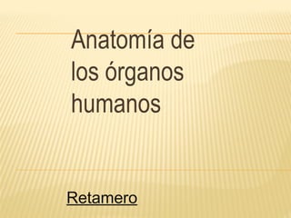 Anatomía de
los órganos
humanos
Retamero
 